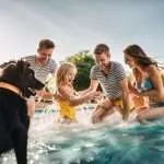 A family enjoying swimming in the pool.
